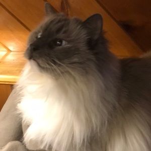 Meet your Posher, Sandra